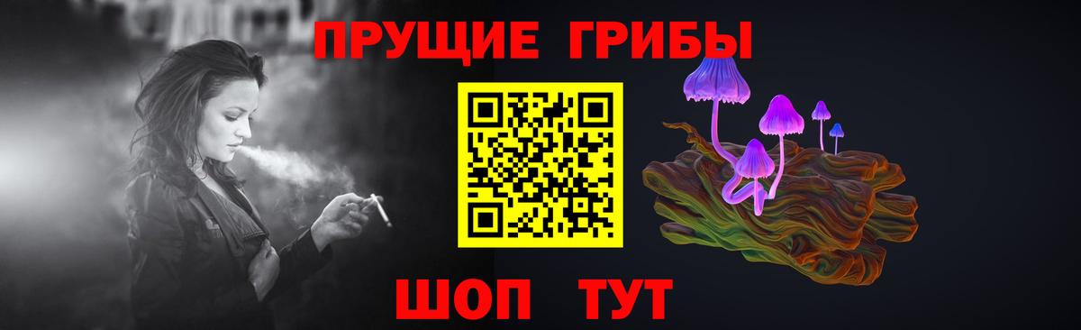 Дубна  Псилоцибиновые грибы GOLDEN TEACHER  Вход с VPN  Галлюциногенные грибы прущие грибы 
